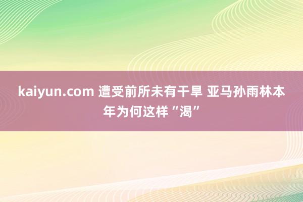 kaiyun.com 遭受前所未有干旱 亚马孙雨林本年为何这样“渴”