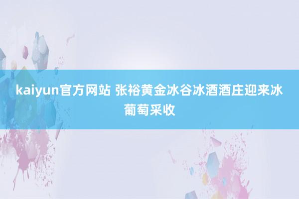 kaiyun官方网站 张裕黄金冰谷冰酒酒庄迎来冰葡萄采收