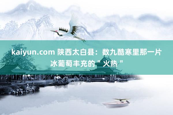 kaiyun.com 陕西太白县：数九酷寒里那一片冰葡萄丰充的＂火热＂