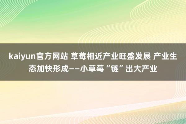 kaiyun官方网站 草莓相近产业旺盛发展 产业生态加快形成——小草莓“链”出大产业