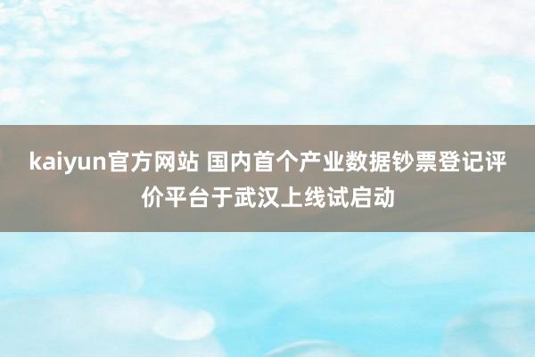 kaiyun官方网站 国内首个产业数据钞票登记评价平台于武汉上线试启动