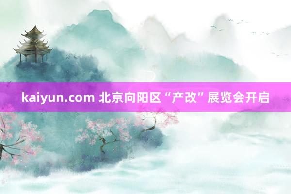 kaiyun.com 北京向阳区“产改”展览会开启