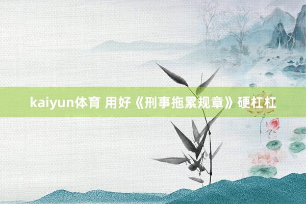 kaiyun体育 用好《刑事拖累规章》硬杠杠