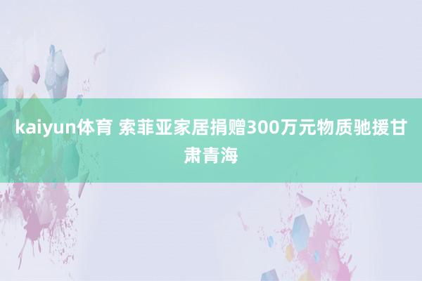 kaiyun体育 索菲亚家居捐赠300万元物质驰援甘肃青海