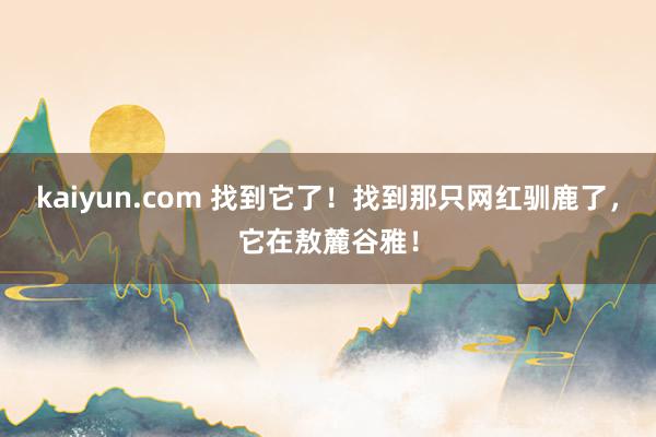 kaiyun.com 找到它了！找到那只网红驯鹿了，它在敖麓谷雅！