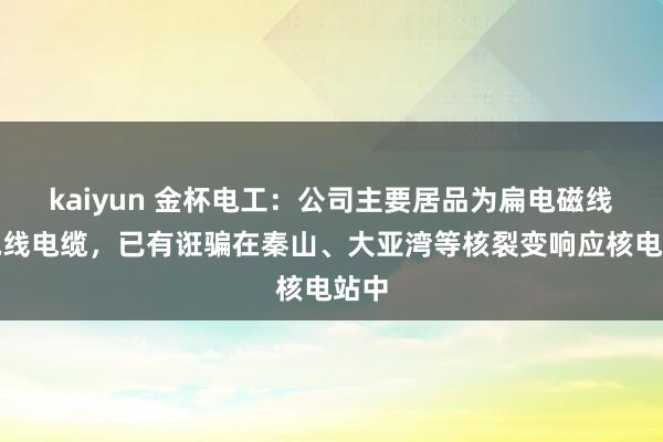 kaiyun 金杯电工：公司主要居品为扁电磁线和电线电缆，已有诳骗在秦山、大亚湾等核裂变响应核电站中