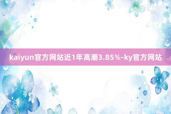 kaiyun官方网站近1年高潮3.85%-ky官方网站