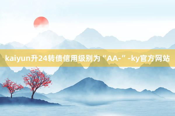 kaiyun升24转债信用级别为“AA-”-ky官方网站