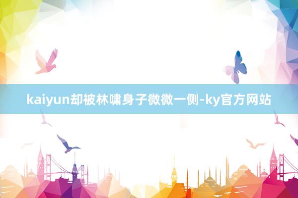 kaiyun却被林啸身子微微一侧-ky官方网站