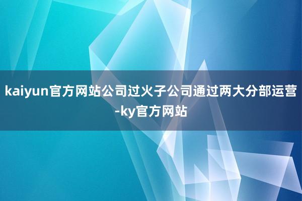 kaiyun官方网站公司过火子公司通过两大分部运营-ky官方网站