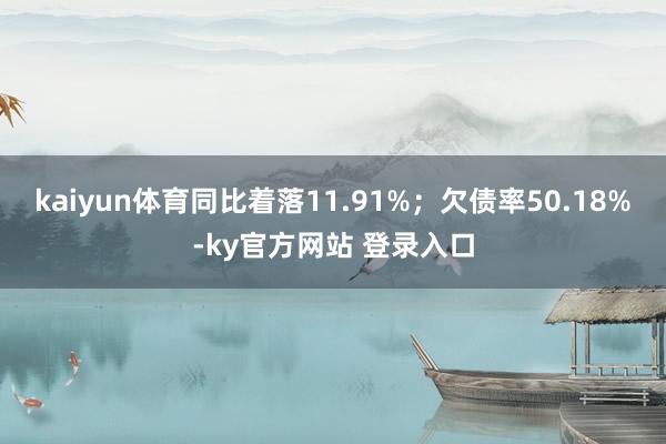 kaiyun体育同比着落11.91%；欠债率50.18%-ky官方网站 登录入口